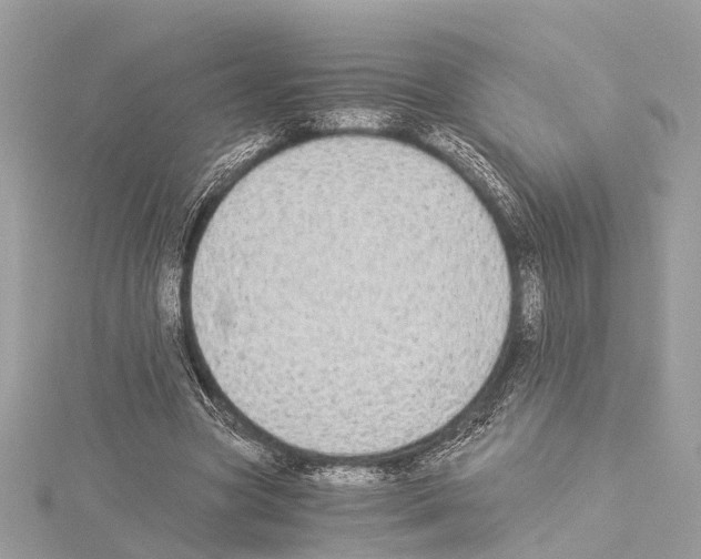 X0000114500537200911301128