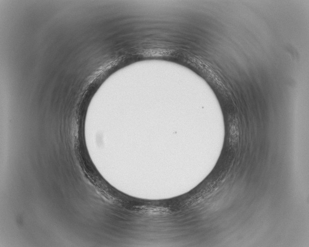 X0000114500539200911301128