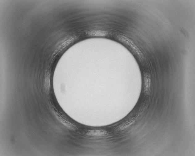 X0000114500541200911301128