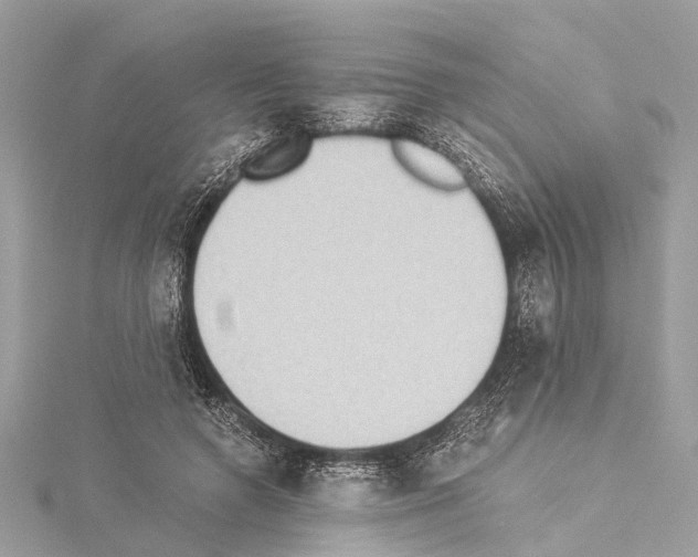 X0000114500546200911301129