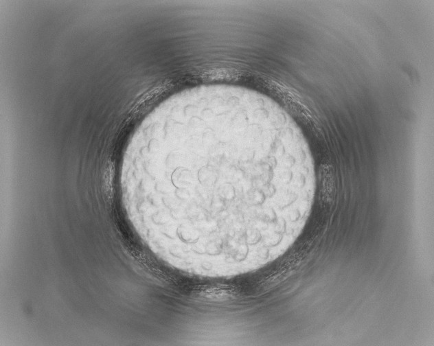 X0000114500550200911301129