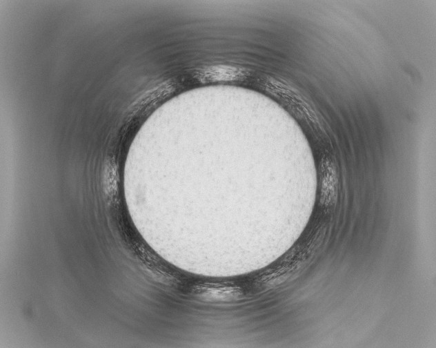 X0000114500555200911301129