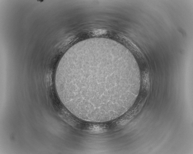 X0000114500565200911301129