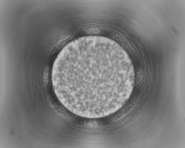 X0000114500600200911301128
