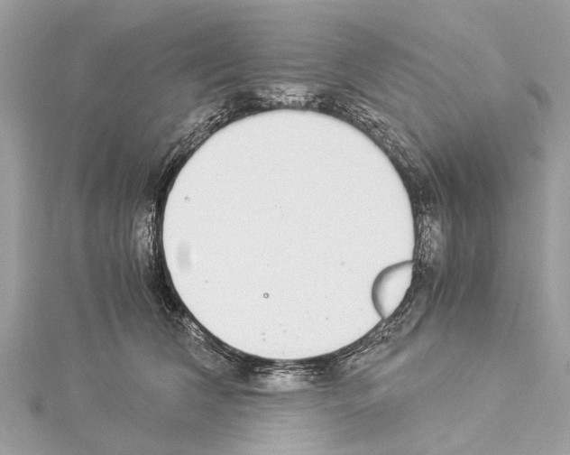 X0000114500612200911301128