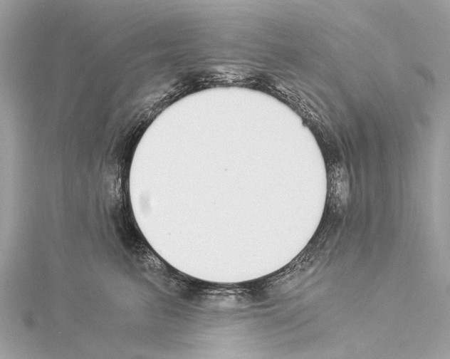 X0000114500615200911301128