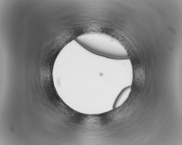 X0000114500617200911301128