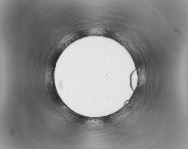 X0000114500619200911301128