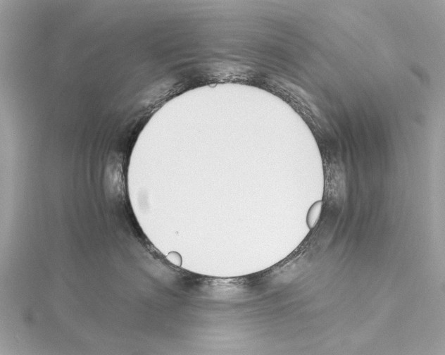 X0000114500622200911301128