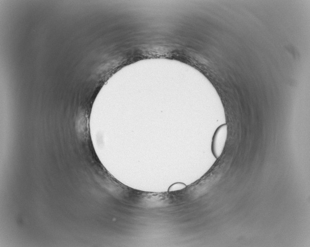 X0000114500624200911301128