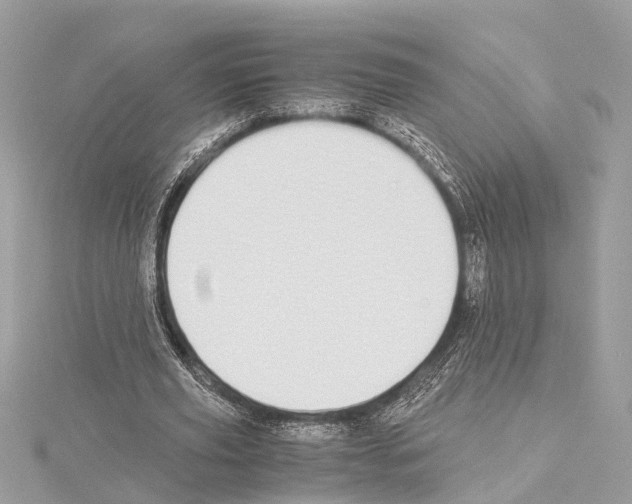 X0000114500629200911301127