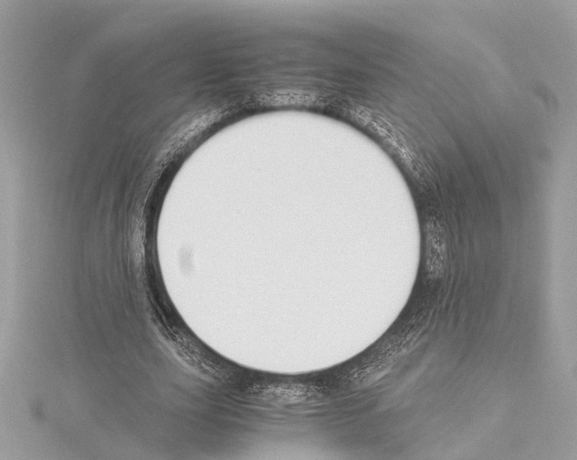 X0000114500631200911301127