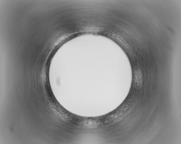 X0000114500632200911301127