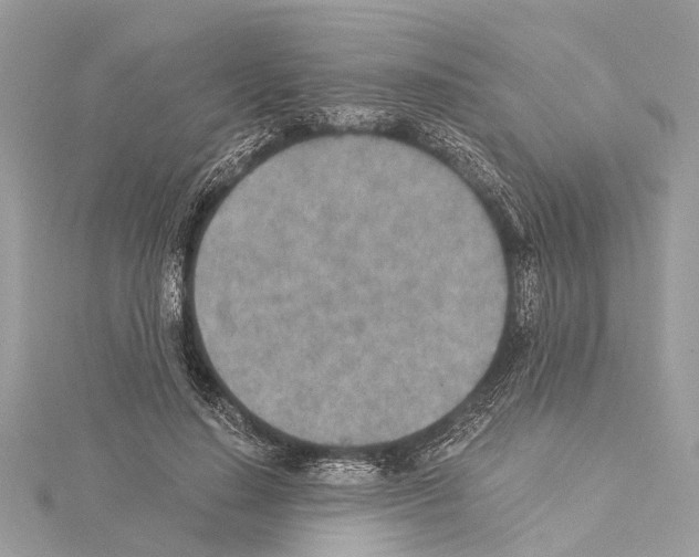 X0000114500644200911301127