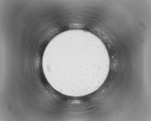 X0000114500647200911301127