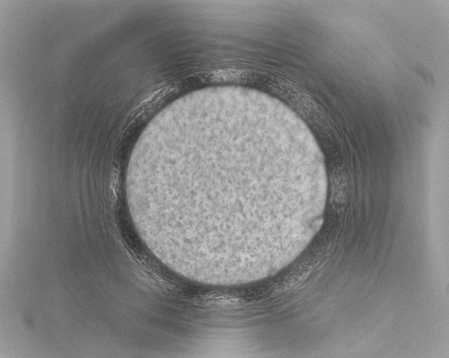X0000114500648200911301127