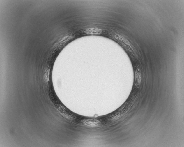 X0000114500652200911301127