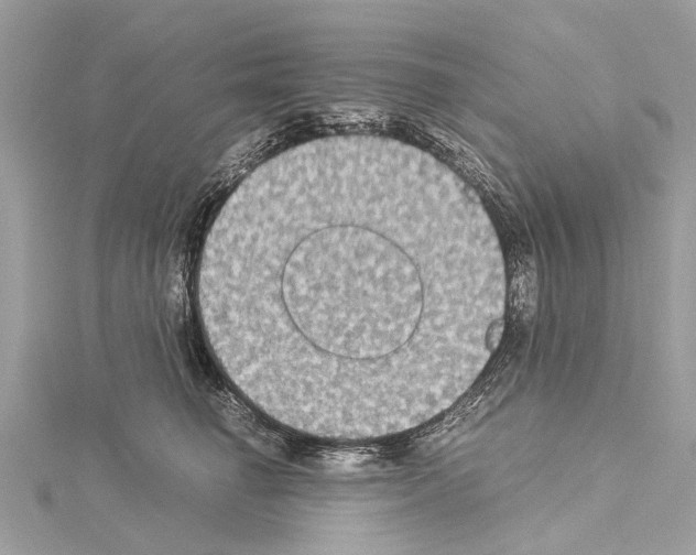 X0000114500662200911301128