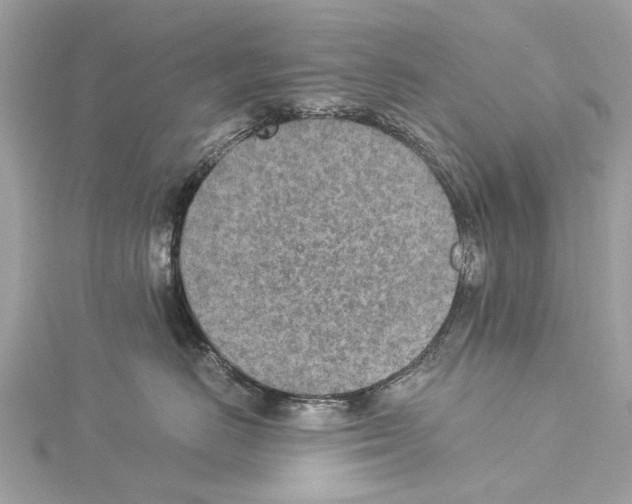 X0000114500670200911301128