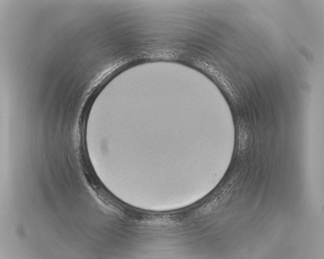 X0000114500674200911301127