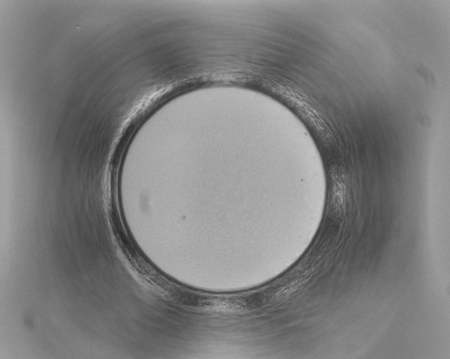X0000114500678200911301127