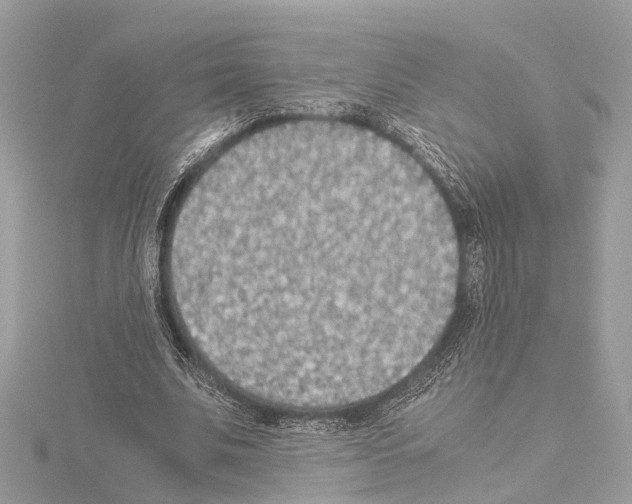 X0000114500679200911301127