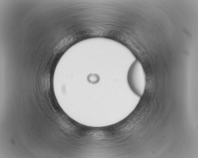 X0000114500685200911301127