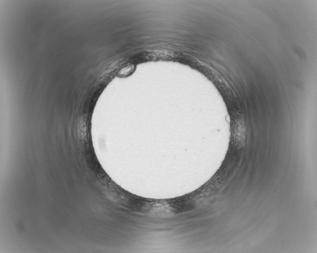X0000114500715200911301127