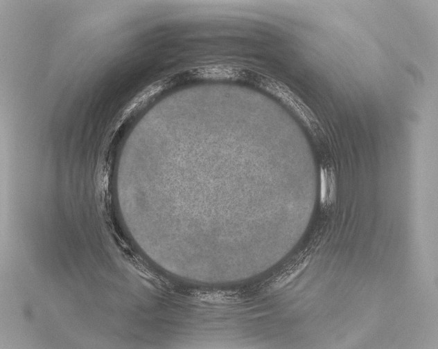 X0000114500723200911301126
