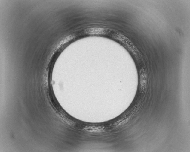 X0000114500727200911301126