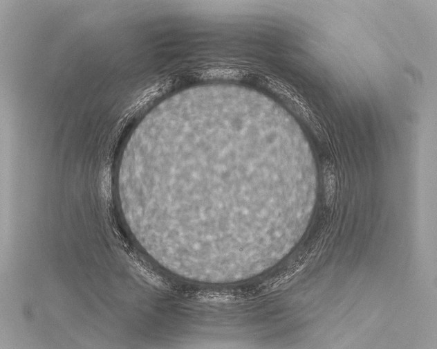 X0000114500729200911301126
