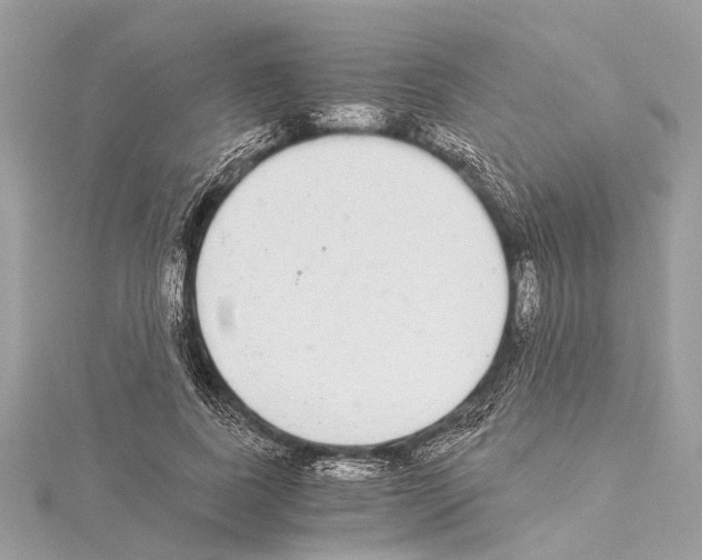 X0000114500739200911301126