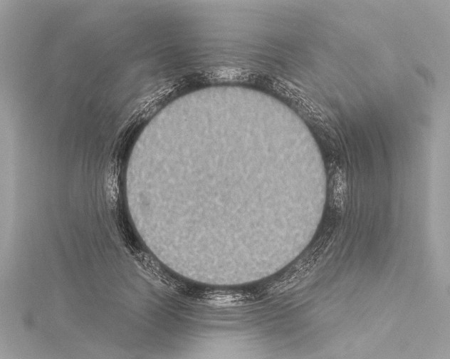 X0000114500746200911301126