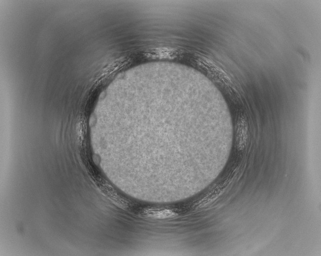 X0000114500747200911301126