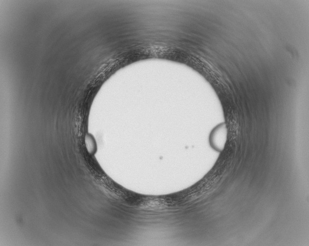 X0000114500750200911301126