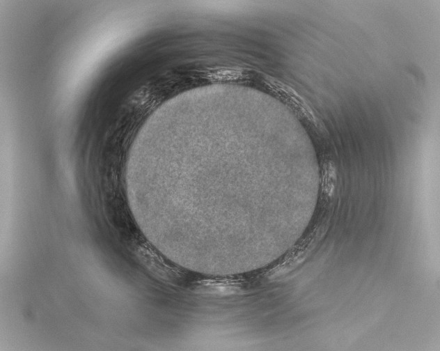 X0000114500763200911301126