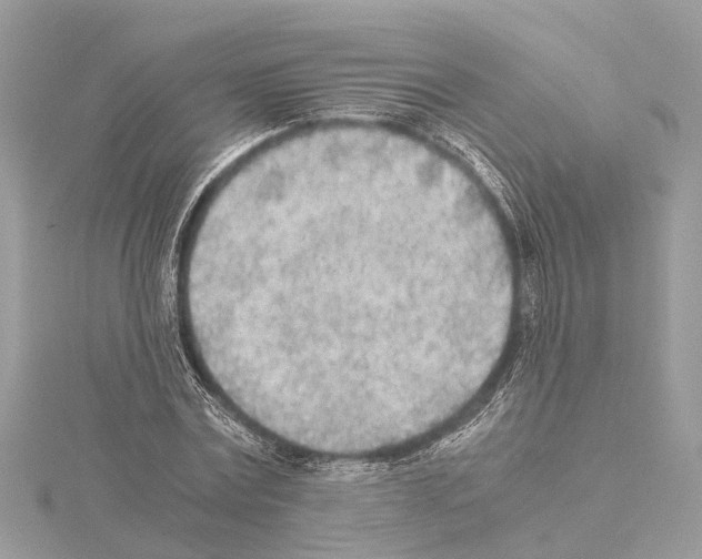 X0000114500779200911301126