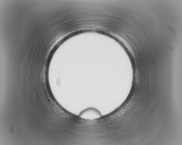 X0000114500783200911301126