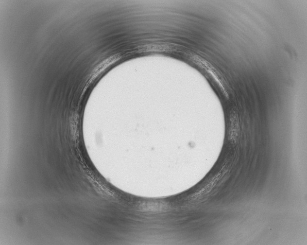 X0000114500786200911301126