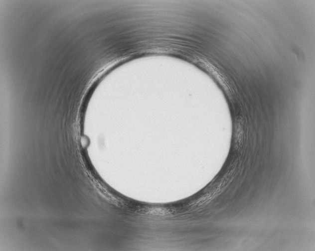 X0000114500787200911301126