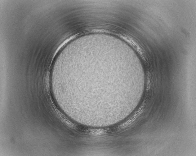 X0000114500798200911301125