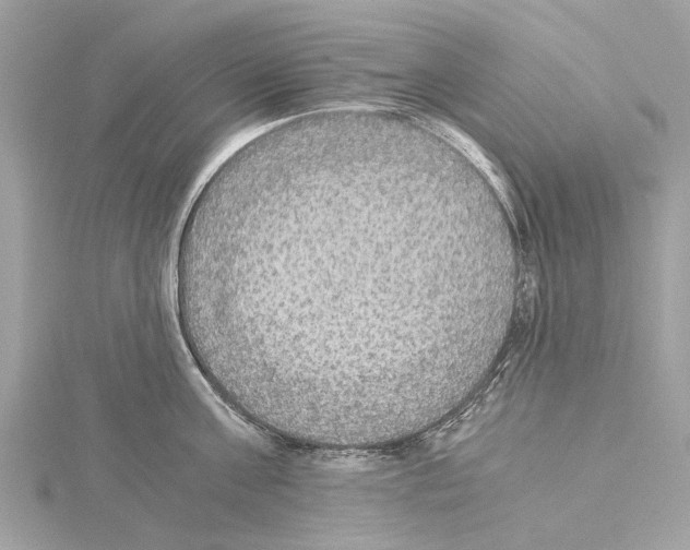 X0000114500811200911301125