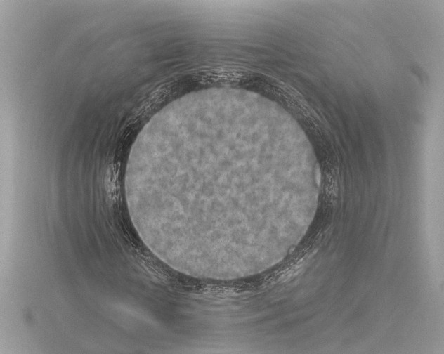 X0000114500818200911301125