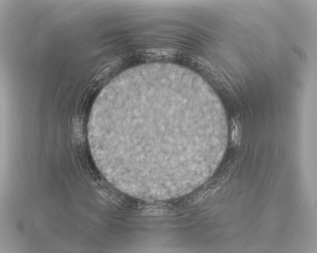 X0000114500819200911301125