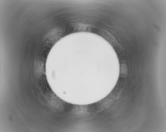 X0000114500820200911301125