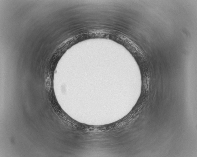 X0000114500821200911301125