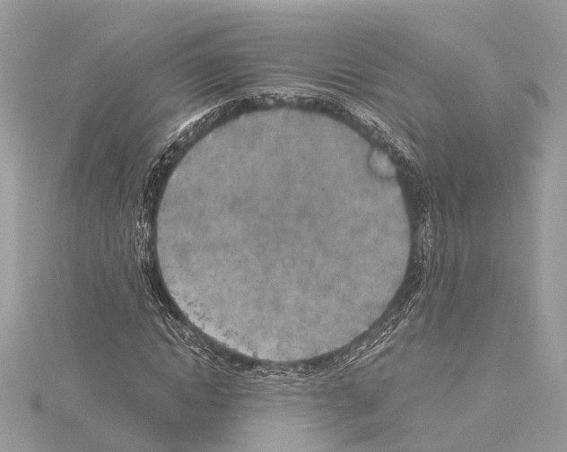 X0000114500822200911301125