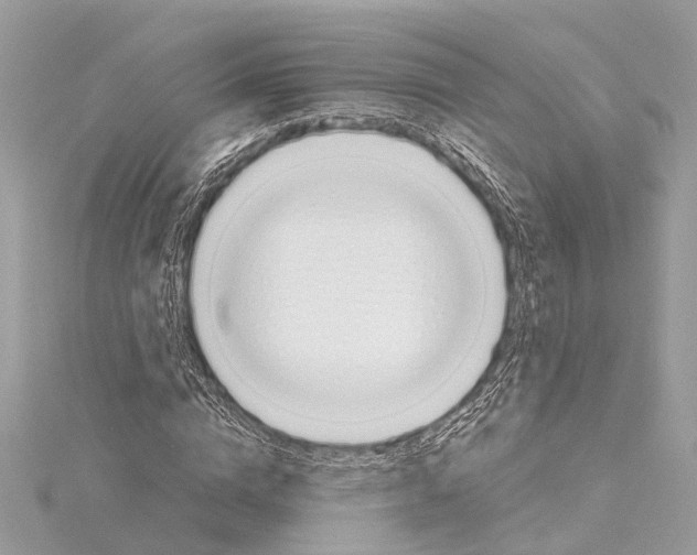 X0000114500824200911301125