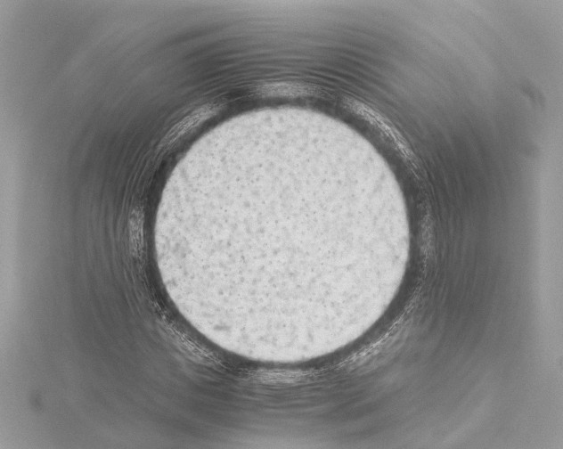 X0000114500825200911301125
