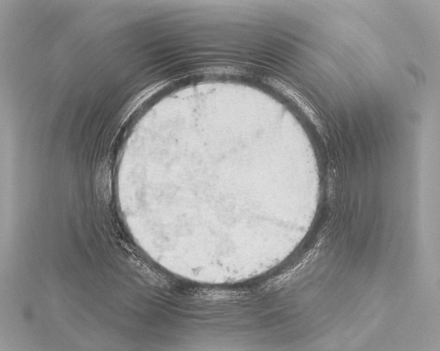 X0000114500829200911301125